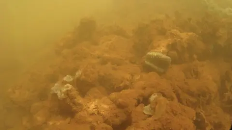 Global Witness An underwater photograph shows brown sediment covering rocks and corals on the coast of a small island in Indonesia. Campaigners say this is pollution from mining - sediment run-off that is harming marine life. The water looks brown and cloudy, in contrast to the clear blue water in the previous picture.