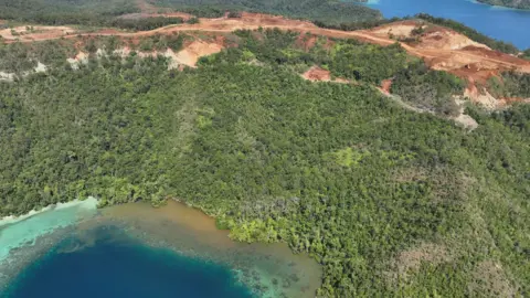 Global Witness A photograph of mining on Kawei island in Raja Ampat, appears to show sediment running into the coastal water. The aerial image shows a green, verdant island from above. Mining operations just uphill of the water's edge are in contrast to the lush forest - land has been cleared and brown earth is exposed. Downhill of the mine, brown-coloured sediment appears to be running into the clear, blue water.