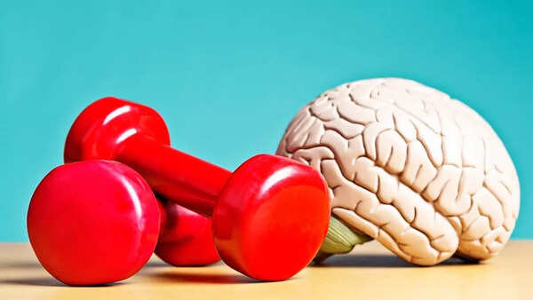 brain exercise