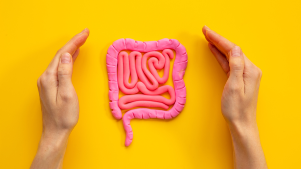 Want to improve gut health?