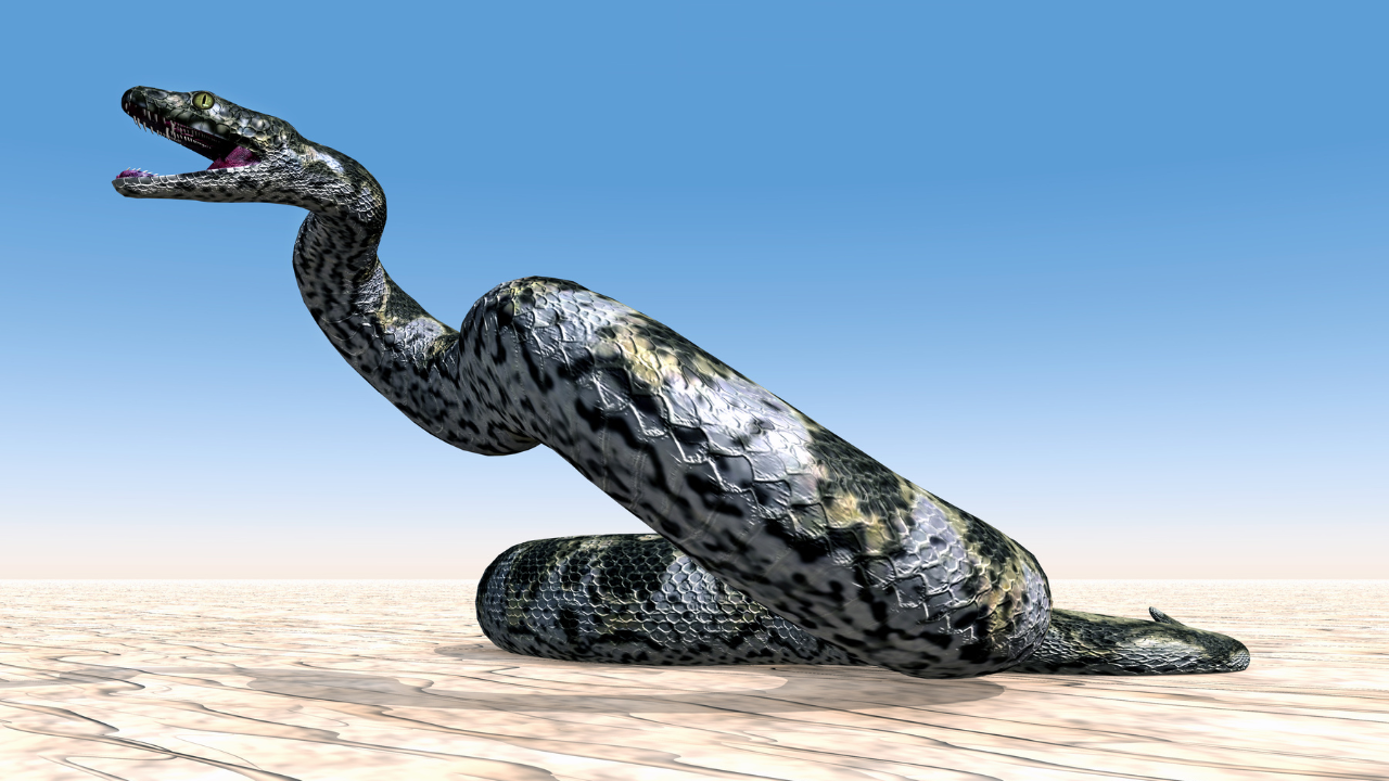 Titanoboa Titanoboa