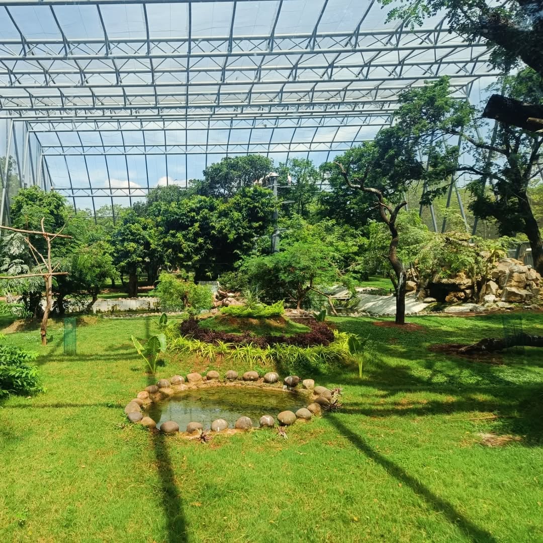 Guindy National Park: One of the few national parks located within a city, Guindy is a green haven with diverse flora and fauna. It’s a great option for a short nature trail without leaving Chennai’s limits.