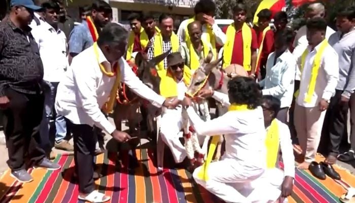 A pair of donkeys tied the knot in a unique wedding ceremony in the southern Indian city of Bengaluru, February 14, 2026. — Reuters